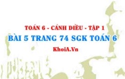 Bài 5 trang 74 SGK Toán 6 tập 1 Cánh Diều